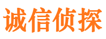 纳雍侦探公司